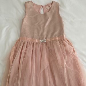 Cat & Jack Rose Holiday Dress